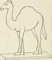 An illustration from Toy-making in school and home (1916)