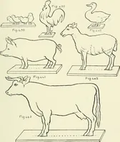 An illustration from Toy-making in school and home (1916)