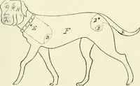 An illustration from Toy-making in school and home (1916)