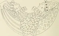 An illustration from Toy-making in school and home (1916)