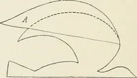 An illustration from Toy-making in school and home (1916)