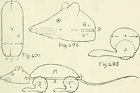 An illustration from Toy-making in school and home (1916)