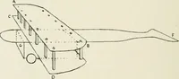 An illustration from Toy-making in school and home (1916)