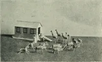 An illustration from Toy-making in school and home (1916)