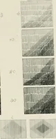 An illustration from A treatise on etching (1880)