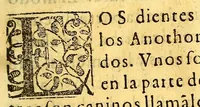 An illustration from Tractado brebe de medicina, : y de todas las enfermedades, (1592)