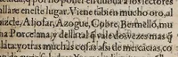 An illustration from Tractado delas drogas, y medicinas de las Indias Orientales (1578)