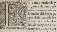 An illustration from Tractado delas drogas, y medicinas de las Indias Orientales (1578)