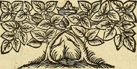An illustration from Tractatio de mirandis naturae fontibus ex quibus ambrosinum humanae sustentationis nectar hauritur : illorum origine ductibus & reliquis, tam in excessu quam defectu existentibus qualitatibus (1697)
