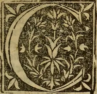 An illustration from Tractato utilissimo circa lo regimento e conseruatione dela sanitade (1508)