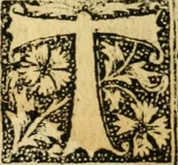 Picture 15 of 23 from Tractatus de gabellis. Solenis et bodierne practice q; comodissimus tractatus vectigalium gabellaruve casus etiam quotidianos decidens, per egregium juris vtriusq; (1533), leaf 52