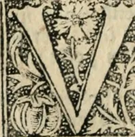 An illustration from Tractatus de gabellis. Solenis et bodierne practice q; comodissimus tractatus vectigalium gabellaruve casus etiam quotidianos decidens, per egregium juris vtriusq; (1533)