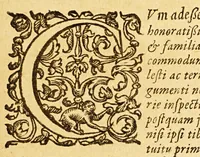 An illustration from Tractatus de globis, coelesti et terrestri eorumque usu. (1617)