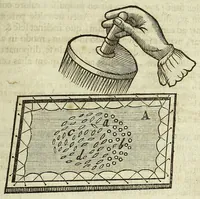 Picture 6 of 14 from Tractatus de homine et de formatione foetus / (1677), leaf 217