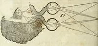 Picture 9 of 14 from Tractatus de homine et de formatione foetus / (1677), leaf 236