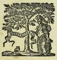 An illustration from Tractatus de homine et de formatione foetus / (1677)