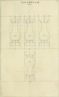 Picture 18 of 32 from Tractatus de stylometris, sive, Instrumentis quibus quinque ordines architecturae methodo quâ facilior inveniri nequit ... (1662), leaf 80