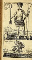 Picture 8 of 9 from Tractatus novi de potu caphé; de chinensium thé; et de chocolata (1685), leaf 158