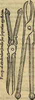 An illustration from Tractatus perutilis et completus de fractura cranei (1535)