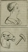 Picture 4 of 32 from Tractatus physiologicus de pulchritudine : juxta ea quae de sponsa in canticis canticorum mysticè pronunciantur (1662), leaf 17