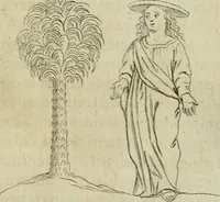 Picture 31 of 32 from Tractatus physiologicus de pulchritudine : juxta ea quae de sponsa in canticis canticorum mysticè pronunciantur (1662), leaf 66