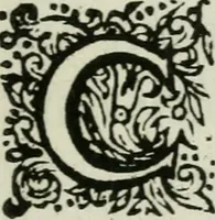 Picture 2 of 32 from Tractatus physiologicus de pulchritudine : juxta ea quae de sponsa in canticis canticorum mysticè pronunciantur (1662), leaf 8