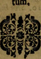 Picture 2 of 3 from Tractatus rationalis de fidejussoribus antehac in Catholica Electorali Vniversitate Ingolstadiana ad disputandum propositus (1666), leaf 142