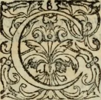 An illustration from Tractatus solemnis et aureus de agnosendis assertionibus Catholicis, et haereticis (1571)