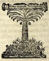 Picture 3 of 7 from Tractatvs de phyllobolia, seu, Florum et ramorum sparsione in sacris & civilibus rebus usitatissima : ubi varii ritus adducuntur, multa Scripturae loca illustrantur, & caeremoniarum in ingressu solenni principum origo fusè exhibetur : in fine denique dn. Dieterici Dissertatio de sparsione florum adjicitur (1698), leaf 28