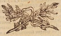 Picture 21 of 46 from Tractatvs, in quo examinantur, & soluuntur iuxta varietatem sententiarum probabilium omnia, quae spectant ad cometas : in quo agitur praesertim de eo, qui caepit obseruari hìc circa medium mensis decembris anni 1664 (1670), leaf 107
