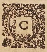 Picture 8 of 46 from Tractatvs, in quo examinantur, & soluuntur iuxta varietatem sententiarum probabilium omnia, quae spectant ad cometas : in quo agitur praesertim de eo, qui caepit obseruari hìc circa medium mensis decembris anni 1664 (1670), leaf 16