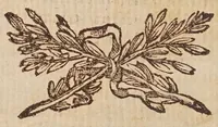 Picture 40 of 46 from Tractatvs, in quo examinantur, & soluuntur iuxta varietatem sententiarum probabilium omnia, quae spectant ad cometas : in quo agitur praesertim de eo, qui caepit obseruari hìc circa medium mensis decembris anni 1664 (1670), leaf 256