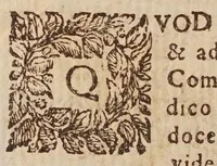 Picture 41 of 46 from Tractatvs, in quo examinantur, & soluuntur iuxta varietatem sententiarum probabilium omnia, quae spectant ad cometas : in quo agitur praesertim de eo, qui caepit obseruari hìc circa medium mensis decembris anni 1664 (1670), leaf 256