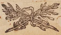 Picture 1 of 46 from Tractatvs, in quo examinantur, & soluuntur iuxta varietatem sententiarum probabilium omnia, quae spectant ad cometas : in quo agitur praesertim de eo, qui caepit obseruari hìc circa medium mensis decembris anni 1664 (1670), leaf 3