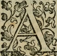 An illustration from Tractatvs lvcvlentvs de iuramento litis decisorio (1595)