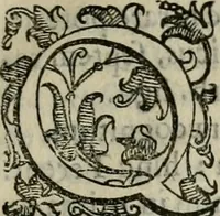 An illustration from Tractatvs lvcvlentvs de iuramento litis decisorio (1595)