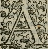 An illustration from Tractatvs lvcvlentvs de iuramento litis decisorio (1595)