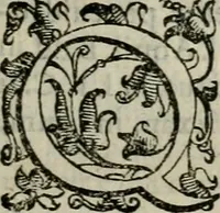 An illustration from Tractatvs lvcvlentvs de iuramento litis decisorio (1595)