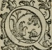 Picture 20 of 43 from Tractatvs lvcvlentvs de iuramento litis decisorio (1595), leaf 133