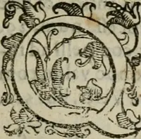 An illustration from Tractatvs lvcvlentvs de iuramento litis decisorio (1595)