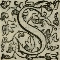 An illustration from Tractatvs lvcvlentvs de iuramento litis decisorio (1595)
