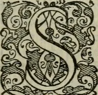 An illustration from Tractatvs lvcvlentvs de iuramento litis decisorio (1595)
