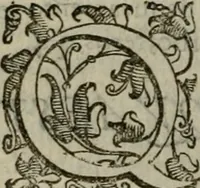 An illustration from Tractatvs lvcvlentvs de iuramento litis decisorio (1595)