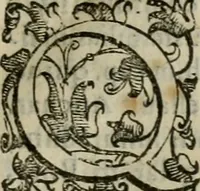 An illustration from Tractatvs lvcvlentvs de iuramento litis decisorio (1595)