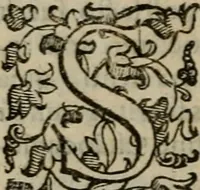 An illustration from Tractatvs lvcvlentvs de iuramento litis decisorio (1595)