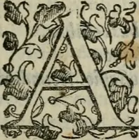 An illustration from Tractatvs lvcvlentvs de iuramento litis decisorio (1595)