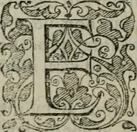 An illustration from Tractatvs lvcvlentvs de iuramento litis decisorio (1595)