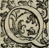 An illustration from Tractatvs lvcvlentvs de iuramento litis decisorio (1595)