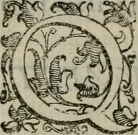 An illustration from Tractatvs lvcvlentvs de iuramento litis decisorio (1595)