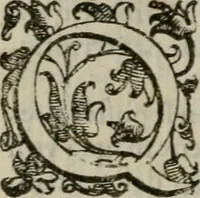 An illustration from Tractatvs lvcvlentvs de iuramento litis decisorio (1595)